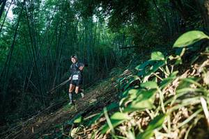 BIB: 
                            <button type="button" onclick="openModal(28123472)" class="btn btn-primary btn-sm float-right btn-popup" data-toggle="modal" data-target=".modal-high-quality">
                        <i class="fas fa-shopping-cart"></i> Add to Cart
                    </button>
                                            <button type="button" onclick="isThisMe(28123472, true)" class="btn btn-success btn-sm float-right btn-popup btn-isme hidden" data-toggle="tooltip" data-placement="bottom" title="นี่คือรูปของคุณใช่ไหม คลิกที่นี่เพื่อเอาเข้าอัลบั้ม">
                        <i class="fas fa-plus"></i> Add to album
                    </button>
                    <button type="button" onclick="isThisMe(28123472, false)" class="btn btn-warning btn-sm float-right btn-popup btn-isnotme hidden">
                        <i class="fas fa-ban"></i> Remove from album
                    </button>